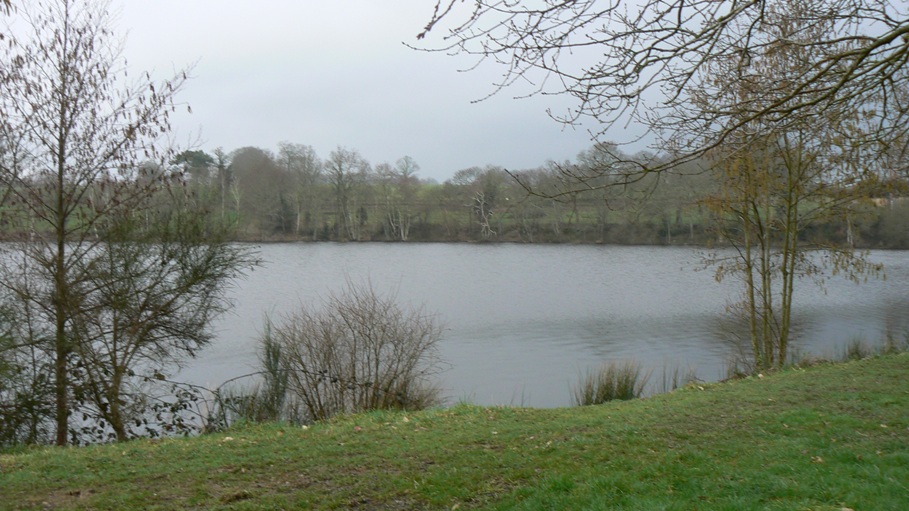 P1000686