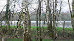 Cliquez ici pour voir l'image (P1000719.JPG)